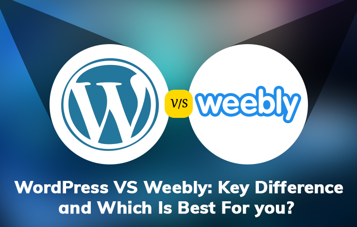 Key Difference and Which Is Best For you?