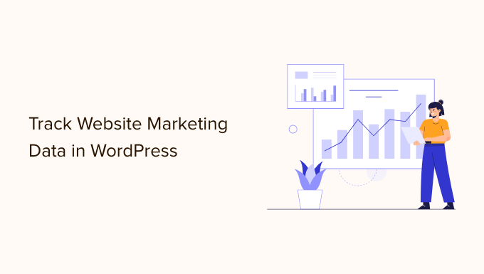Website marketing data you must track on WordPress site
