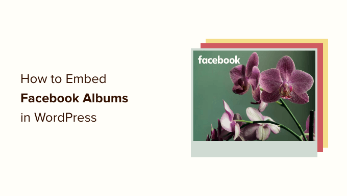 How to embed Facebook albums in WordPress